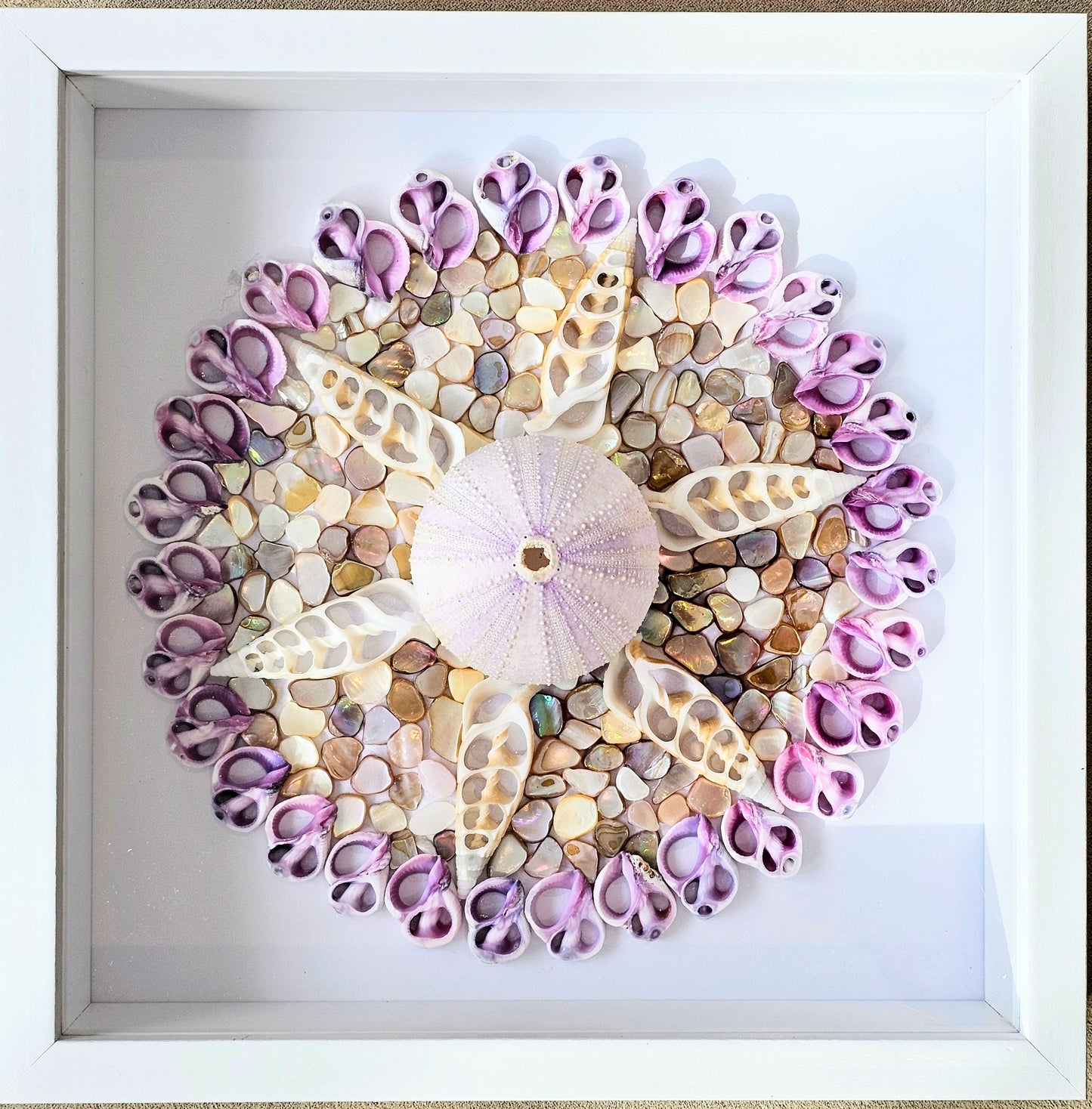 Sliced Shell, Urchin & Mother of Pearl 8.5x8.5