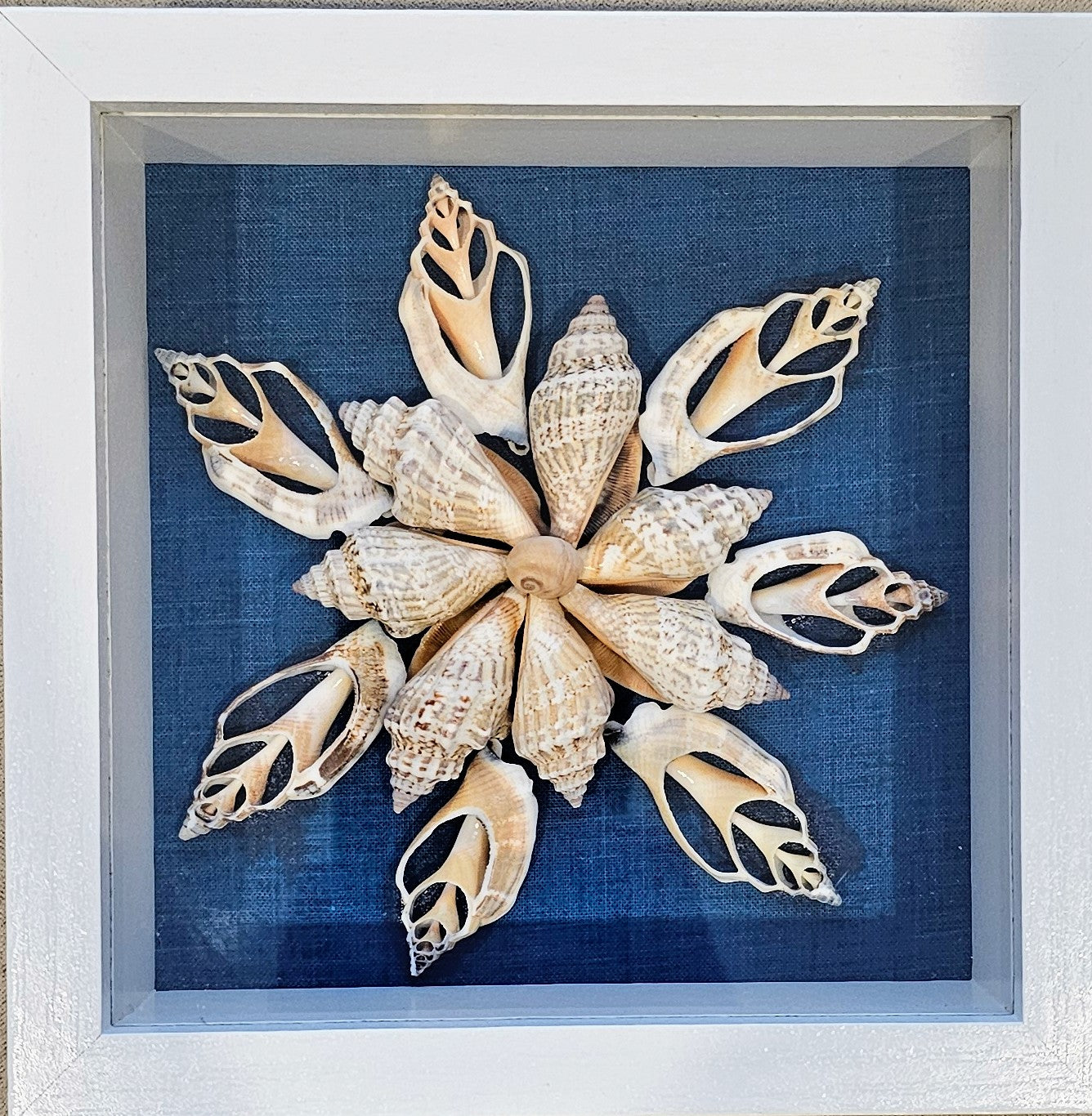 Brown Chula Shells on fabric 5.5.5x5.5