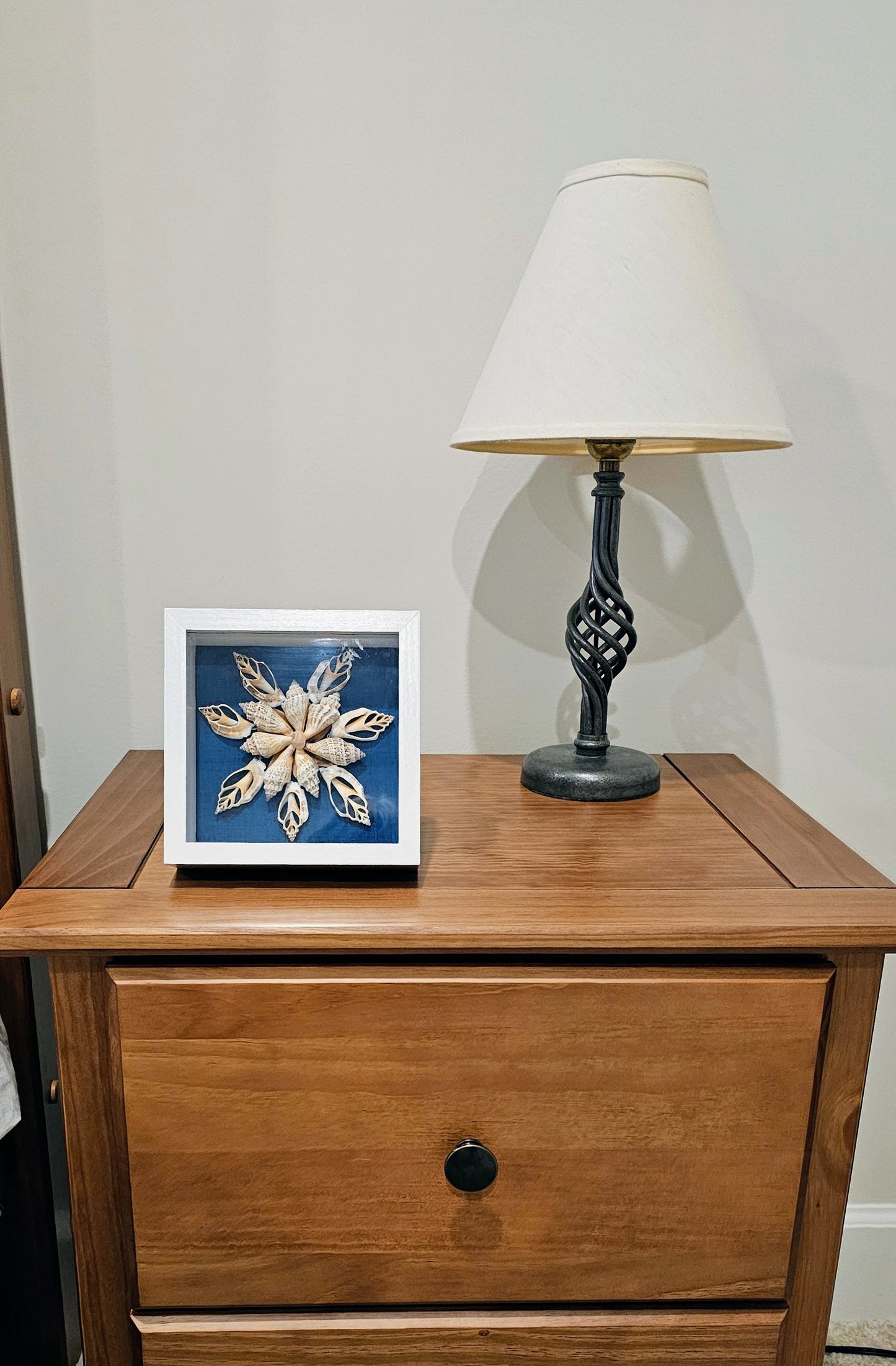 Brown Chula Shells on fabric 5.5.5x5.5