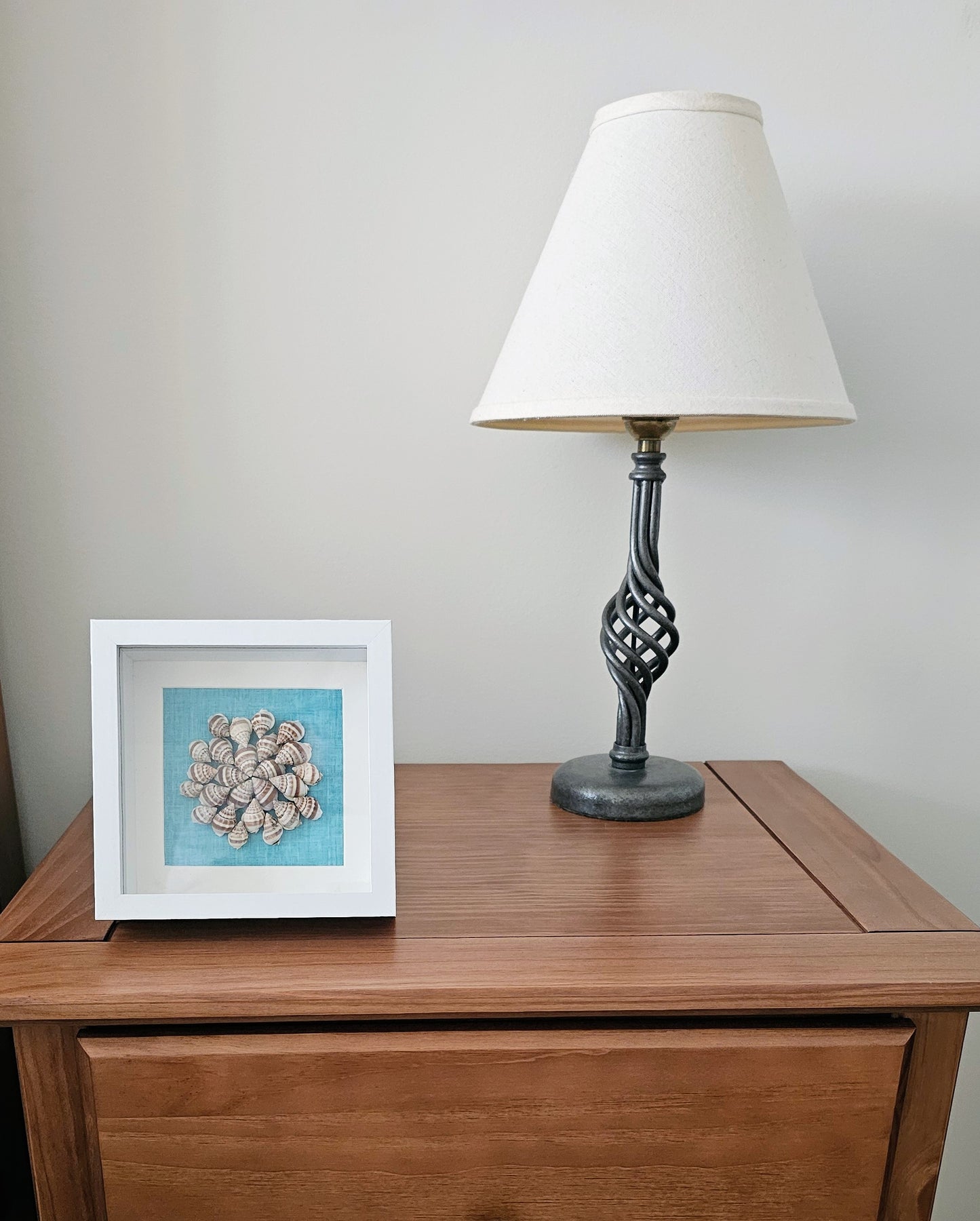 Nassa Phyrus 5.5x5.5