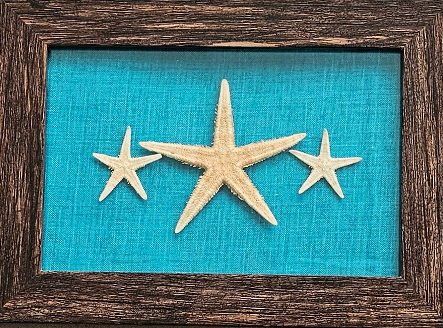 Starfish 3x5