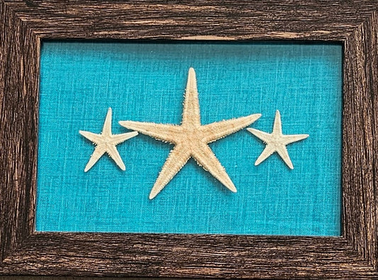 Starfish 3x5