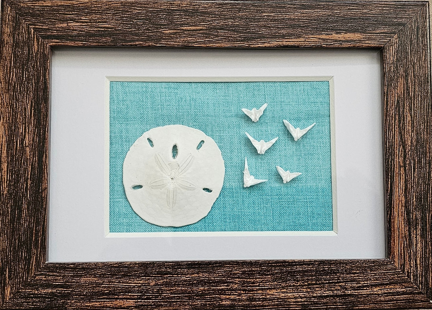 Sand Dollar & Doves 3.5x5
