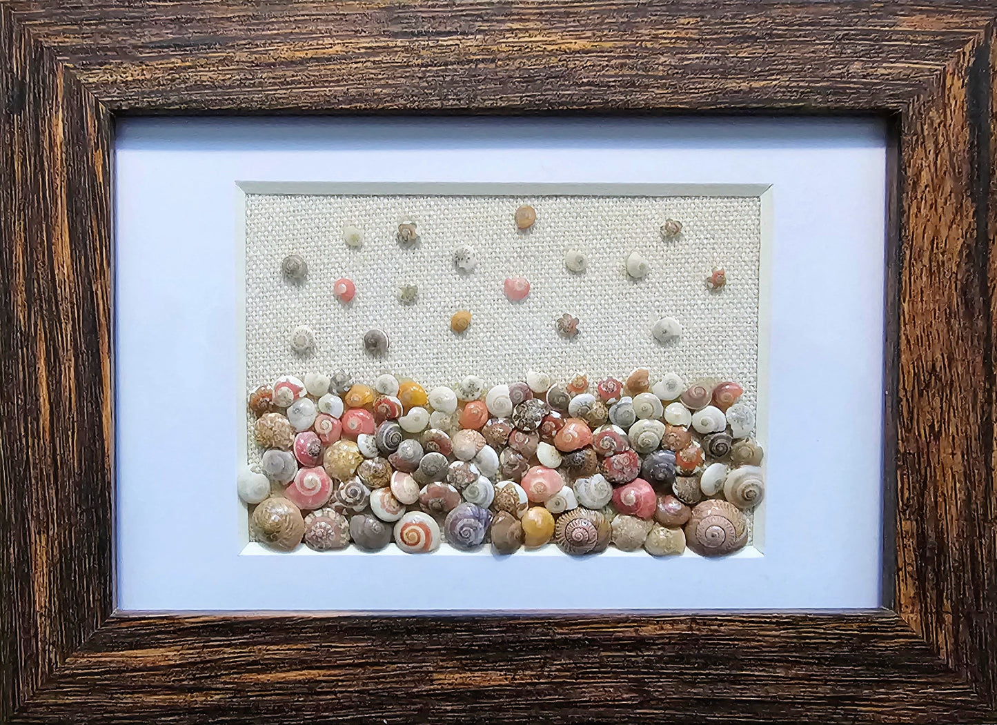 Raining Umbonium 3x5