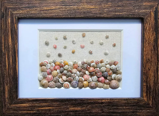 Raining Umbonium 3x5