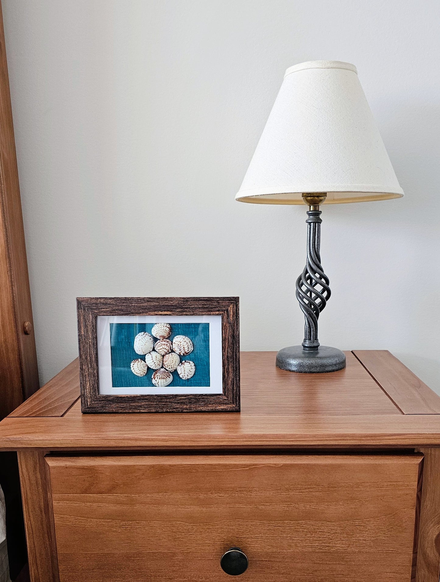 Cockle Shells on Fabric 3.5x5