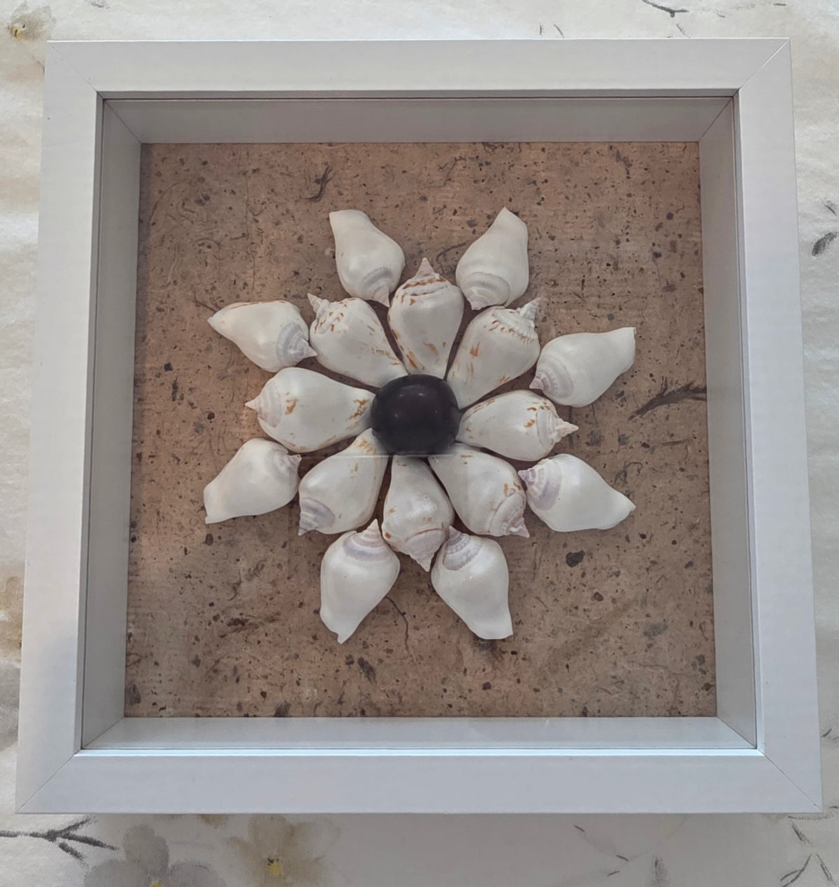 White canarium and sea bean on handmade paper