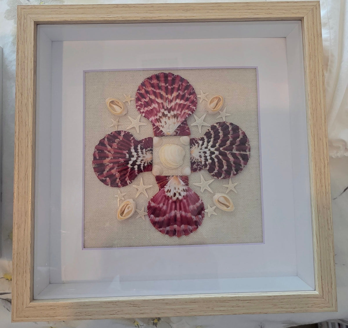 Flat scallop