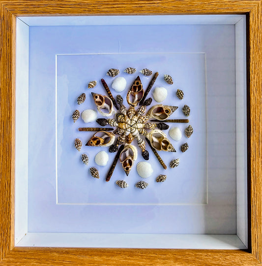 Sliced Strombus & Colored Nassa Shells 9x9